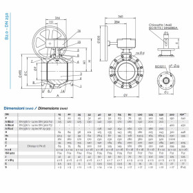 Brandoni B2.100