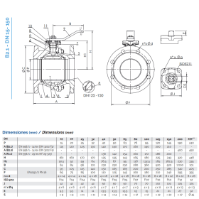 Brandoni B2.100