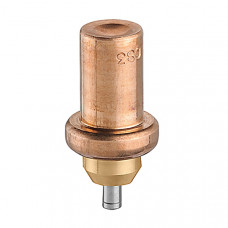 Caleffi F296 Biomass