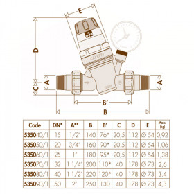 Caleffi 5350