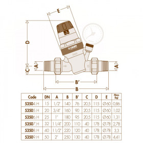 Caleffi 5350H