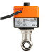 Belimo House 220V DN15