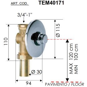 Daniel TEM40171