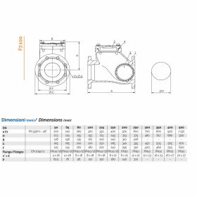 зворотній клапан фланцевий з кулькою Brandoni F7.100 