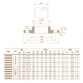 Raccorderie Metalliche 419/Z DN15-50