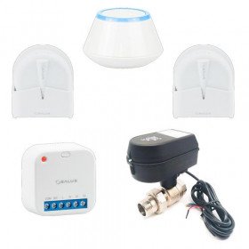WLS Smart STANDARD