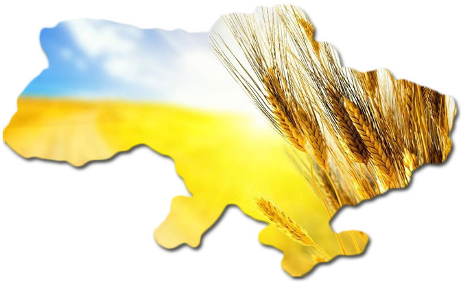 День Незалежності 2017