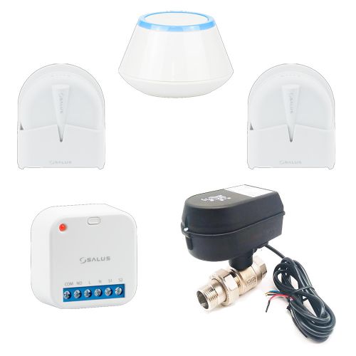 WLS Smart STANDARD