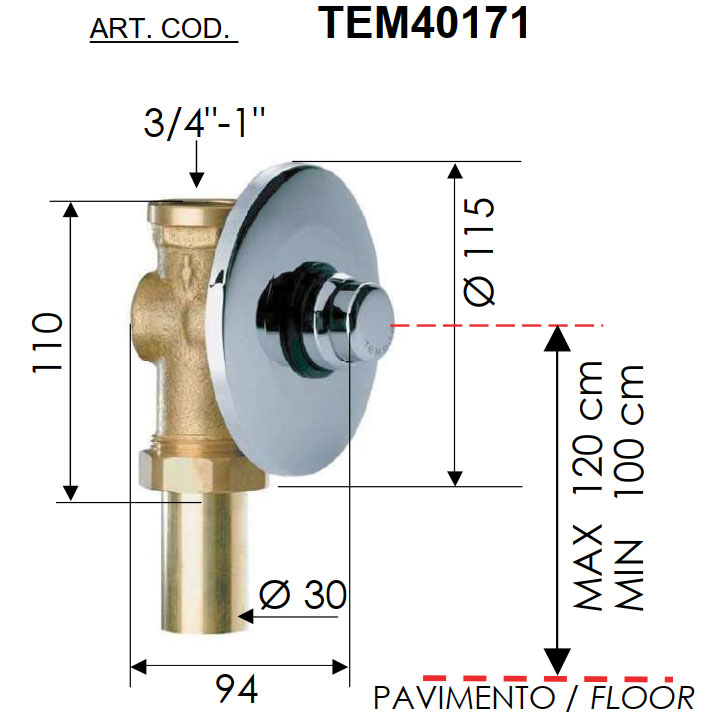 Daniel TEM40171
